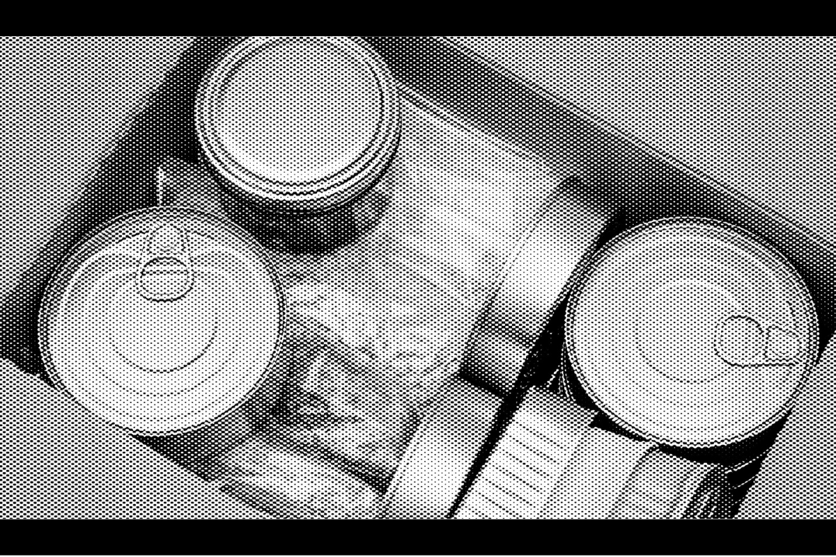 Preparacionismo: Siete errores fatales al almacenar alimentos que pueden arruinar tu despensa